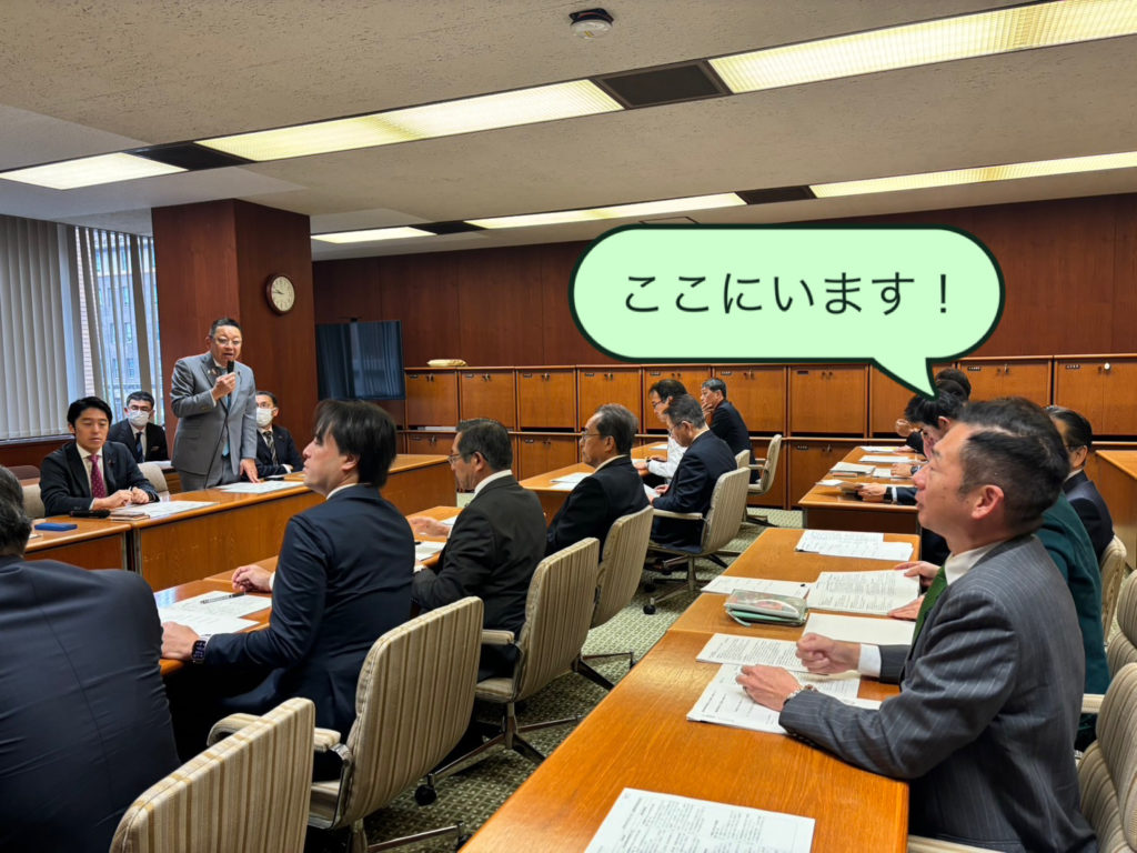 今日は本会議・代表質問！